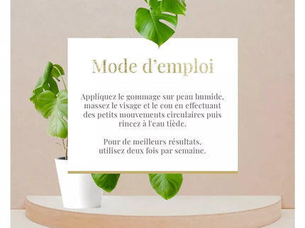 Gommage visage exfoliant et purifiant - Tous types de peaux - Aloe Vera - Nymphora