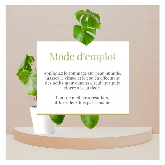 Gommage visage exfoliant et purifiant - Tous types de peaux - Aloe Vera - Nymphora