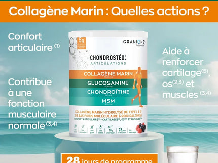 CHONDROSTÉO + Articulations - Collagène Marin - Poudre 280g - Nymphora