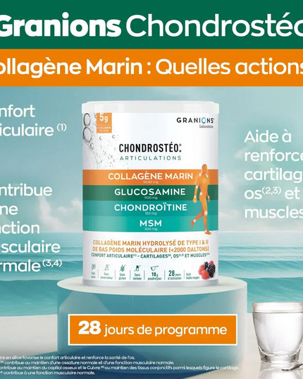 CHONDROSTÉO + Articulations - Collagène Marin - Poudre 280g - Nymphora